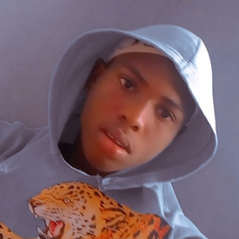 Photo library image